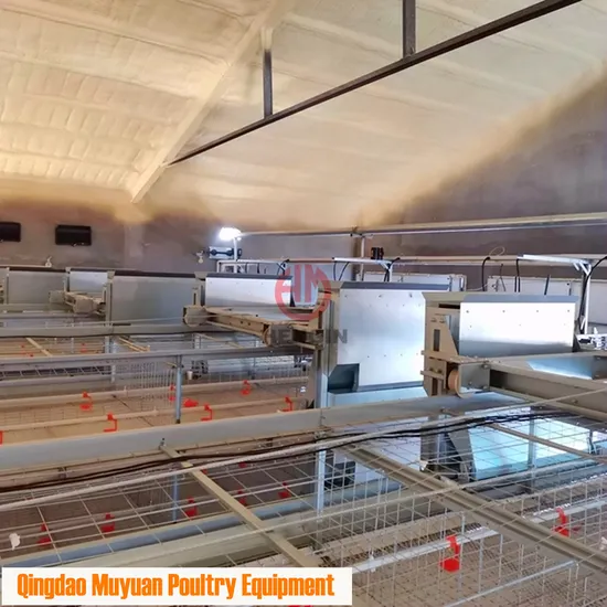 Pan Feeding Broiler Livestock Machinery with Automatic Bird Harvest System