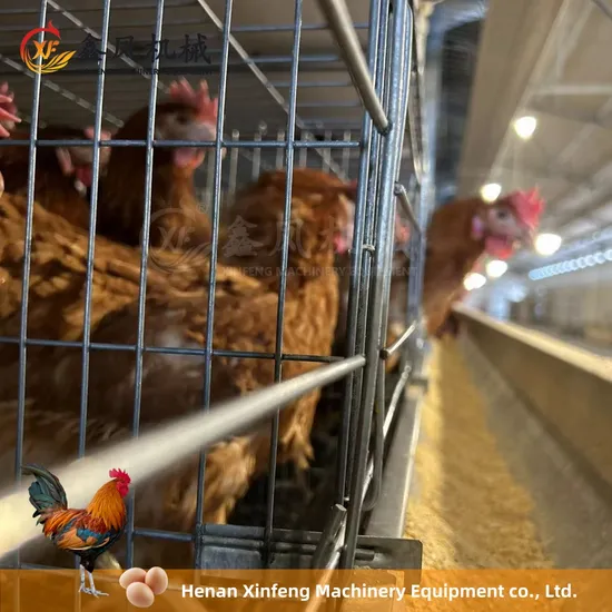 Hot Sale High Quality Chicken Automatic Poultry Farm Equipment H Type Layer Cage for Sale