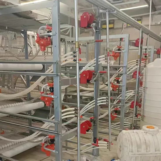 Customized Indian Farm Wholesale 2-8 Layer Chicken Farm Galvanized Steel Wire Broiler Chicken Cage Equipment