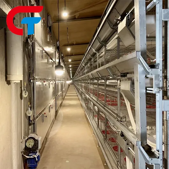 Made in China H Type Layered Brooder Broiler Laying Battery Cages Feeder Chicken