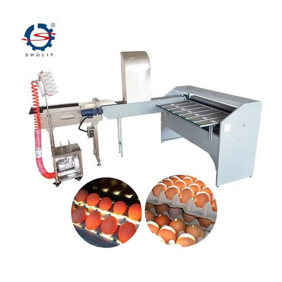 High Efficiency 5400eggs/H Egg Grader Egg Sorting Machine