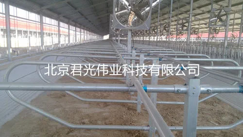 Free Comfort Cubicle Barn Equipment Dairy Farm Cow Free Stall