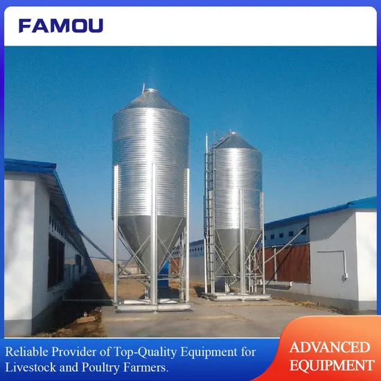 Automated Feed Delivery System for Intensive Hog/Poultry/Rabbit Farming with Galvanized Sheet Silo