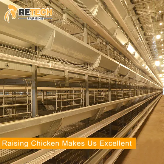 Good Price Automatic Poultry Farm Shed Equipment Chicken Battery Cage for Sale