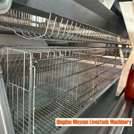 The Full-Stepped a-Type Cage Is a Popular Model in Poultry Farming