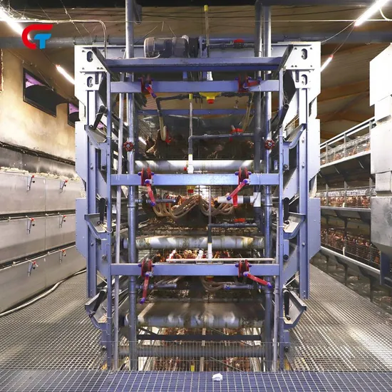 Africa Chicken Feeding House Farming Factory Make Layer Poultry Cage