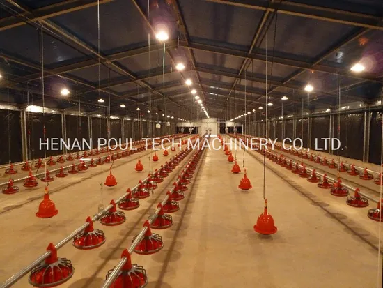 Chicken Farm House Automatic Pan Feeder Line Pirce Broiler Feed Auger Breeding Equipment