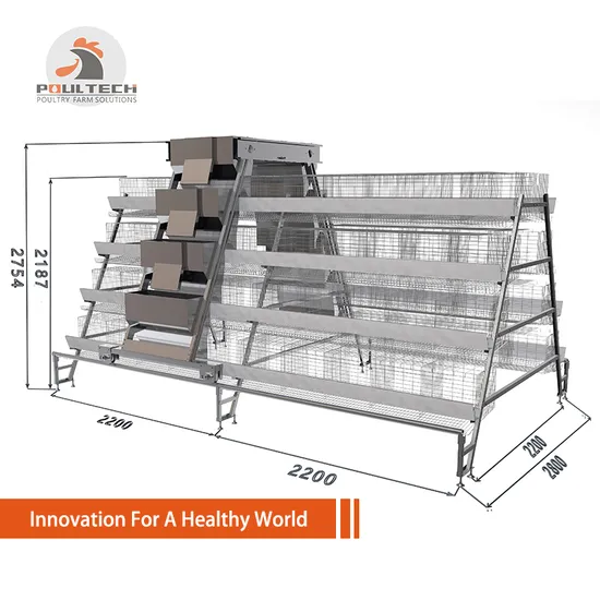 Poultry Farm Equipment Battery Layer Cage with Automatic Control System