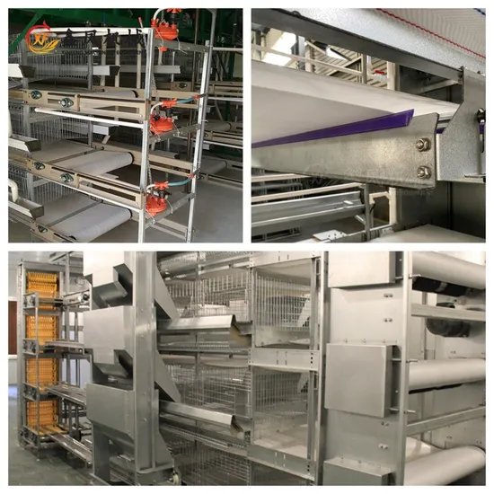 Hot Sale Equipment Battery Layer Chicken Cage Poultry Farm Automatic