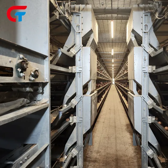 New Design Automatic 6 Tiers Egg Chicken Cage for Sell