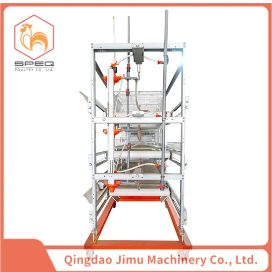 Hot-Dipped Galvanized H Type Chicken Cage/Coop/Shed for Broilers or Laying Hens