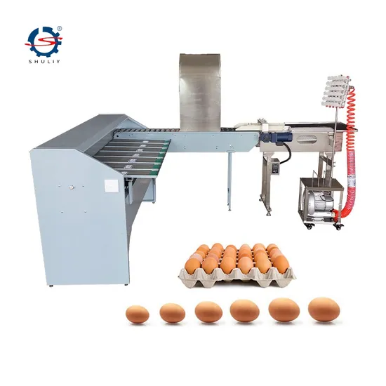 Egg Sorting Machine for Sale Automatic Egg Sorting and Packaging Machine