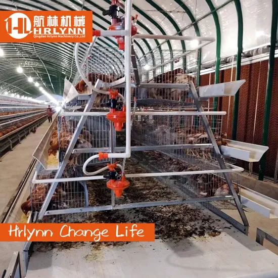 Installed in Zambia Farm 4 Tiers Good Price Layer Chicken Cage