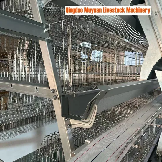 Type a 4-Layer Cage for Laying Hens, Poultry Farms/Livestock Equipment