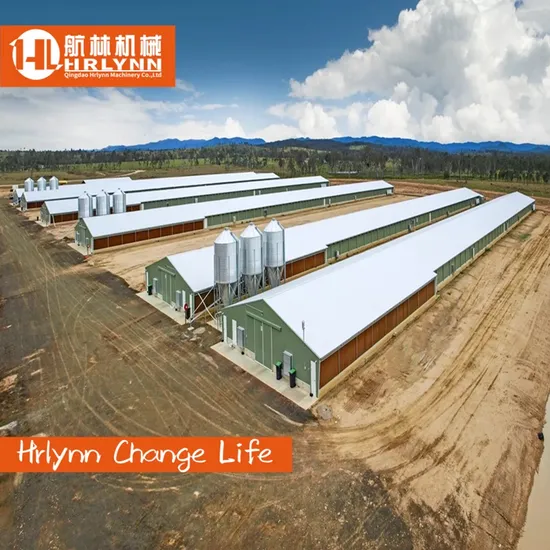 Automatic Poultry Farm Equipment Poultry Broiler Chicken Pan Farm Machinery