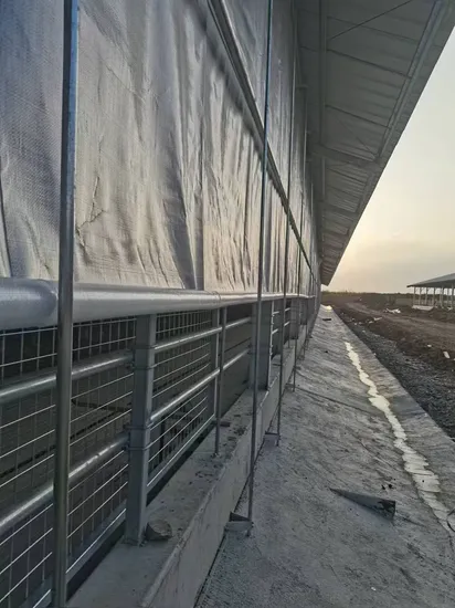 Dairy Farm Side Walls Wind-Proof Clear Electrical Rolling Curtain Tarp