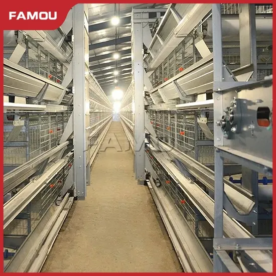 Famou Automatic Poultry Farm Equipment High Safety H Type Auto Chicken Feeder