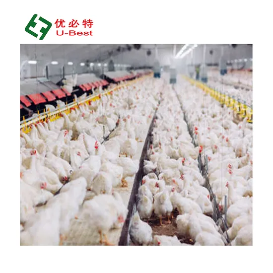 Automatic Factory Sale Chicken Farm Animal Pan Feeders Nipple Drinker Broiler Poultry Farming Equipment