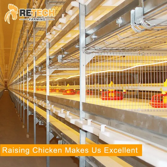 Automatic 3 Tiers Galvanized Broiler Cage Poultry Farm Chicken Equipment