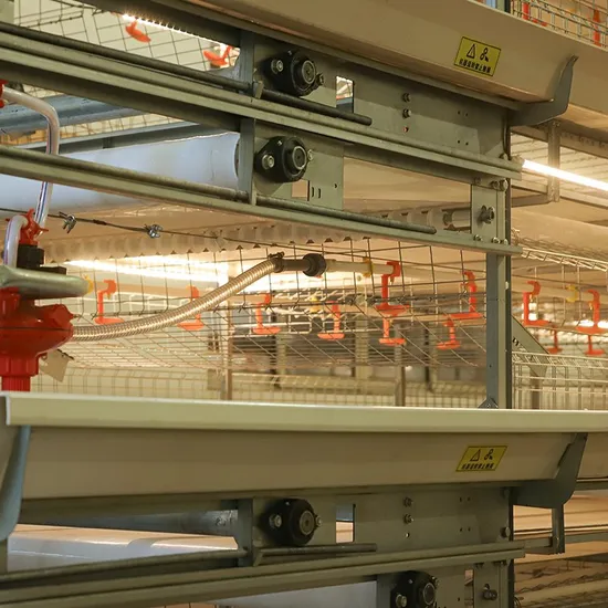 Automatic Poultry Farm Chicken Duck Breeding Equipment 8-Layer Broiler Chicken Cage