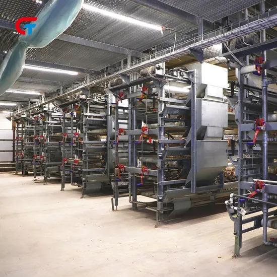 2025 Hot Sell to Asia Country, a and H Type Brooder Use Chicken Cages