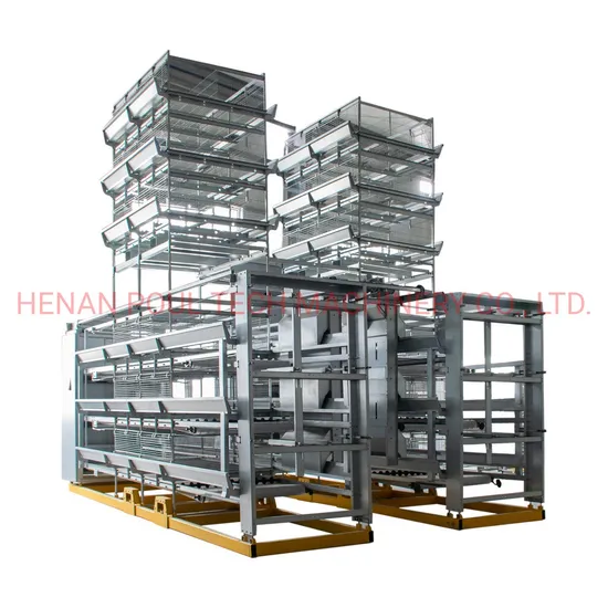 Modern Design Poultry Farm Equipment Layer Egg Cage in Sale