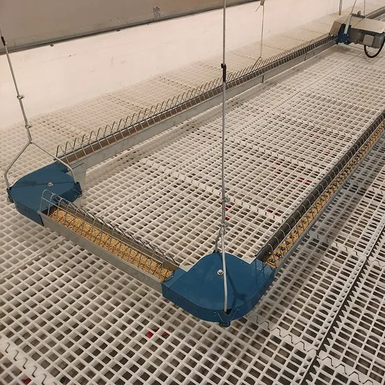 Breeder Chain Feeding Machine (Lifting Type)