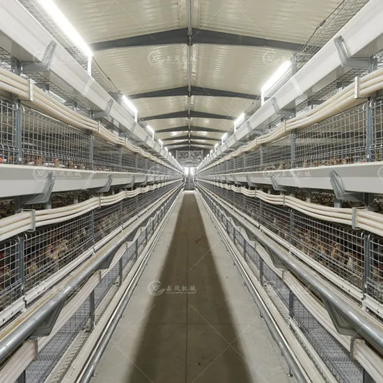 Livestock Machinery Poultry Drinkers Line H Type Broiler Poultry Cage Batteries Cage