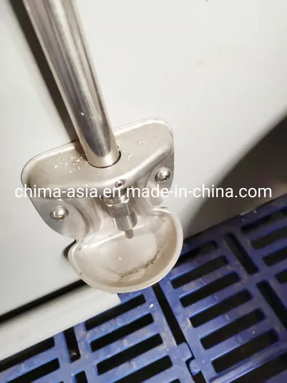 Stainless Steel Piglet Water Drinker Bowl for Livestock Farming