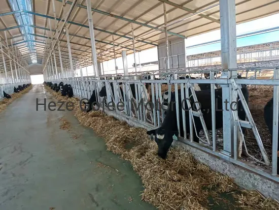 Cow Comfort Dairy Cattle Feeding Fence Galvanizing Barn Equipment Cow Shed Dairy Lock