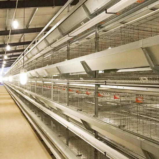 H Type Battery Layer Chicken Cage with Fully Automatic Equipment