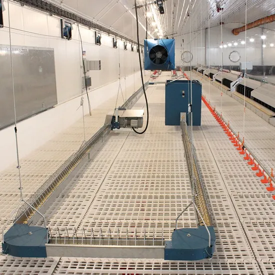 Poultry Equipment Complete Breeder Chain Feeding Equipment