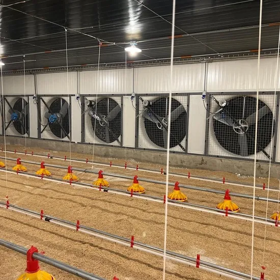 Automated Chicken and Duck Poultry Farms Laying Chicken Battery Cages/Automatic Laying Chicken Cages for Broilers