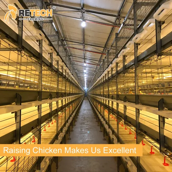 Hot Sale Automatic Battery Broiler Raising poultry Equipment