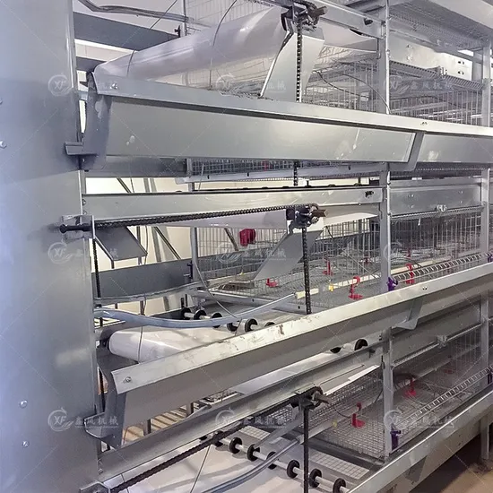 Various Capacity Poultry Farm Equipment H Poultry Chicken Feed Machine Pullet Cage