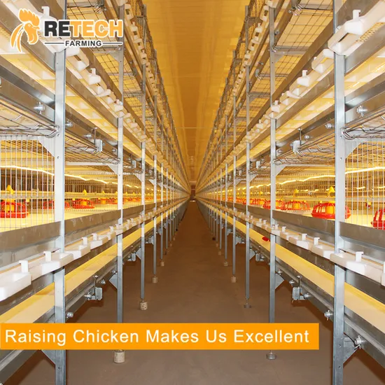Automatic H type chicken broiler cage for chicken meat