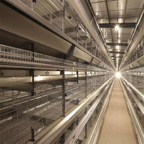 Custom Animal Husbandry Equipment, Animal Husbandry Machinery, Poultry Farming Machinery, Chicken Cage