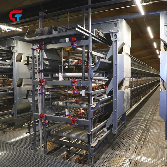 Good Price Uganda Poultry Farm Automatic Chicken Layer Cage for Sell