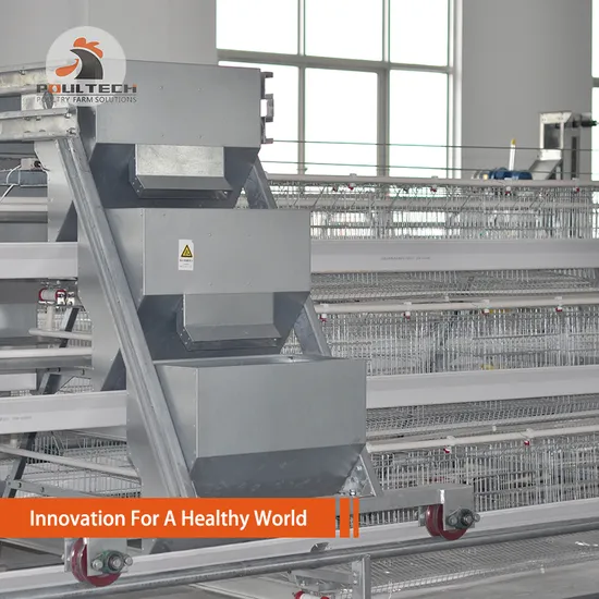 Poul Tech/Chicken Cage Equipment for Poultry Farm