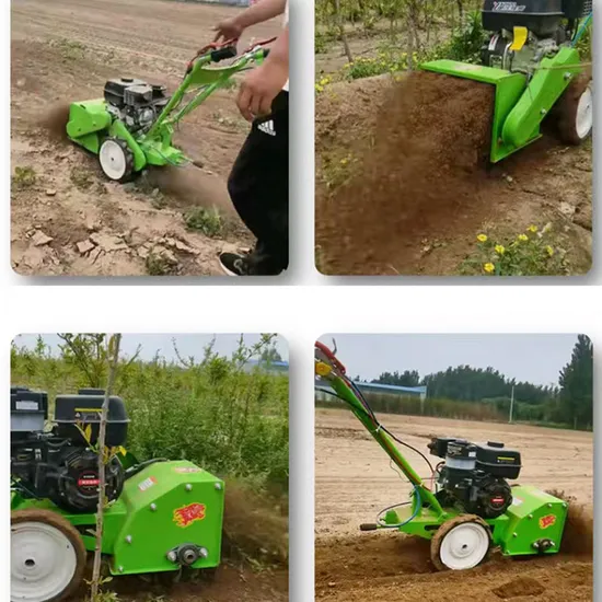 Hot Sale Popular Zhengzhou CE Lawn Mower Grass Mower Grass Cutter Garden Tool Hand Push Flail Mower Lawnmower