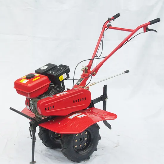 Garden Tool Small Agriculture Tiller Machinery 170f 7HP with Rotary Tillage