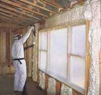 Wall Insulation Spray PU Spray Foam Machine (FD-411A)