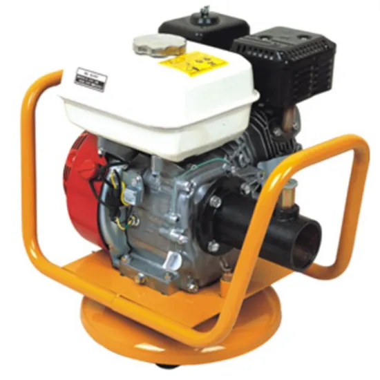 Diesel Cement Vibrator 6m Hose Gasoline Robin Engine 5.5HP Durable Concrete Vibrator