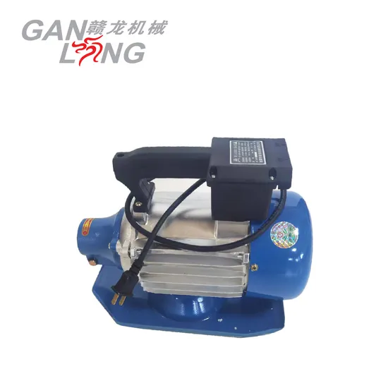 Zw Series Functional Electric Concrete Vibrator Motors