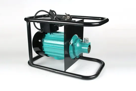 Malaysia Type (Malaysia Type) 1.1kw Concrete Vibrator Single Phase 220V>=10 Pieces