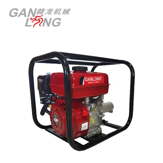Hot Sale Construction Tool Gasoline Engine Concrete Vibrator