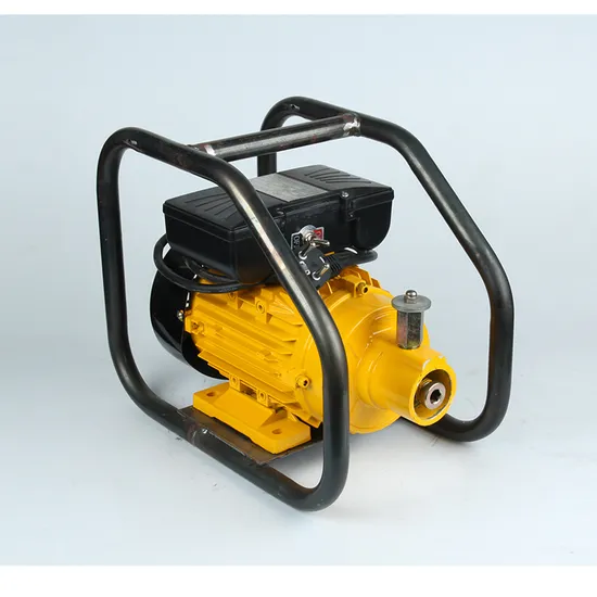 Malaysia Type (Malaysia Type) 1.1kw Concrete Vibrator Single Phase 220V