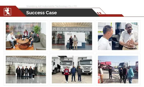 ISO9001: 2000 Approved HOWO for Tanzania Nude Ant Truck Used Concrete