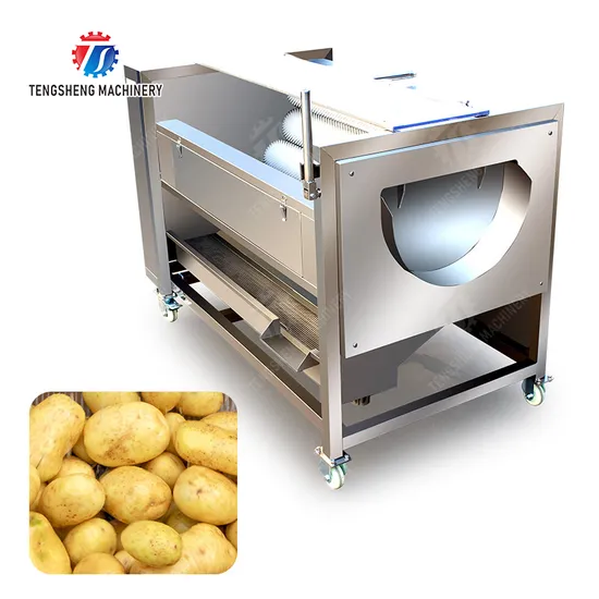 Food Processing Machine Brush Roller Vegetable Peeling Cleaning Washing Machine
