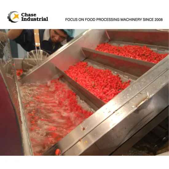 2022 Hot Blueberry Blackberry Gojiberry Fruit Pulp Processing Line